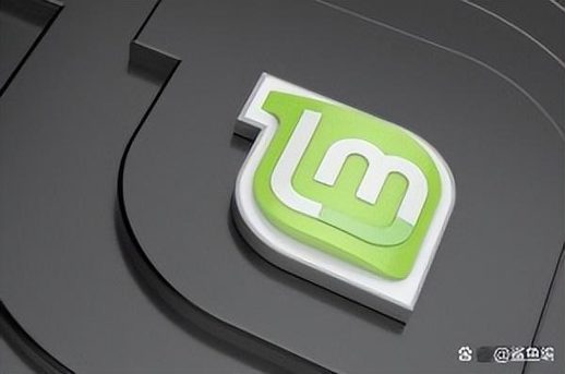 linux mint