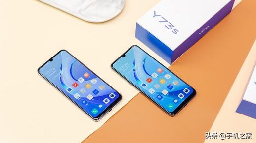 vivo y73