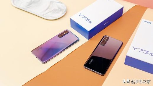 vivo y73